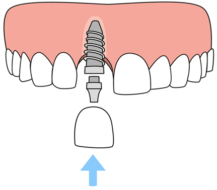 Dentist in 78387 TX